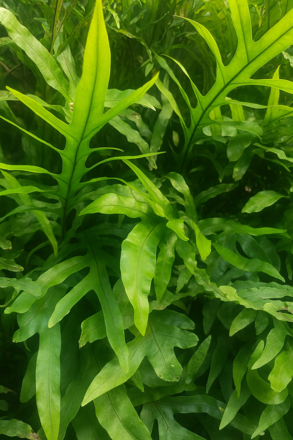 May Flowers Horticulture Installation 12