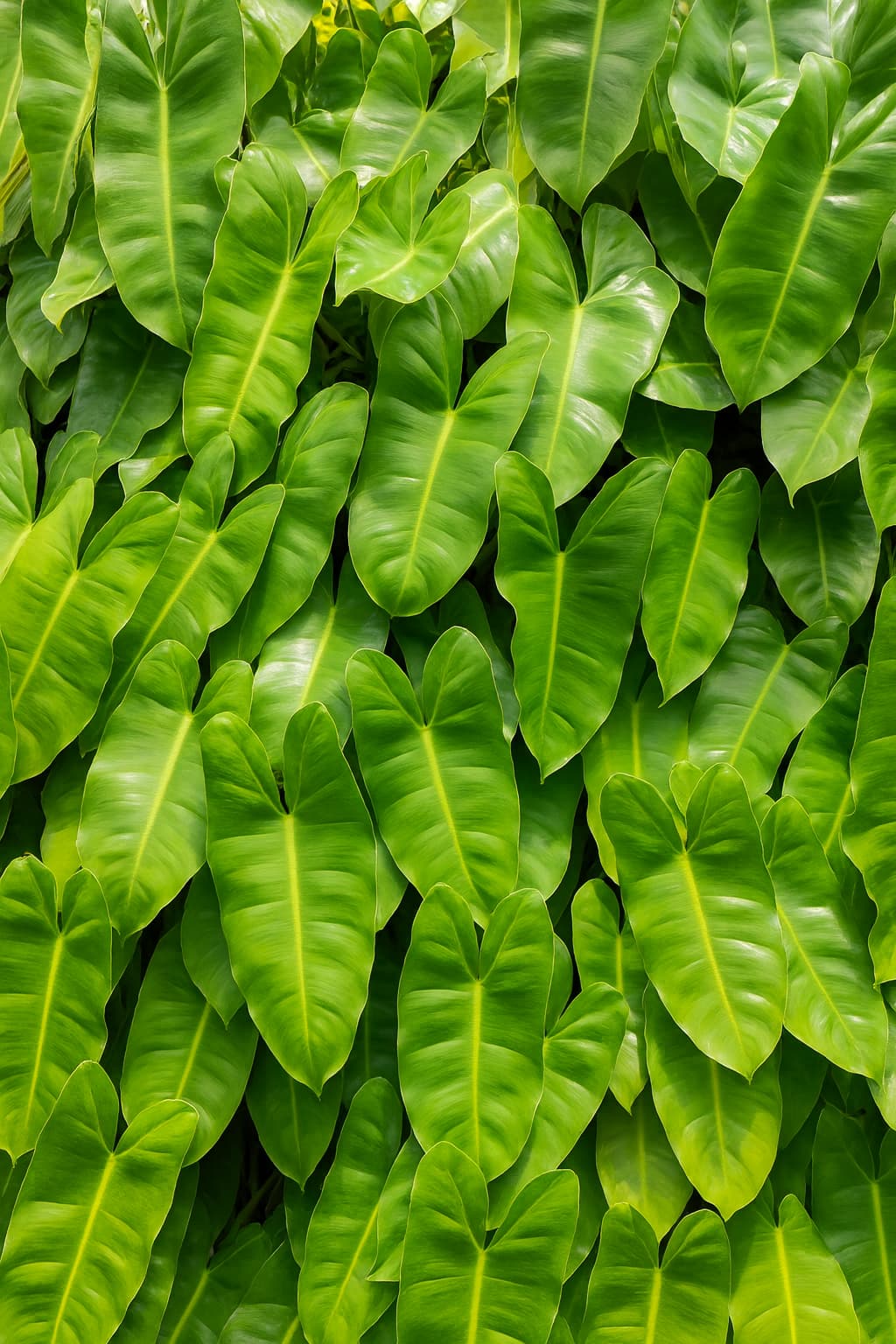 May Flowers Horticulture Installation 21