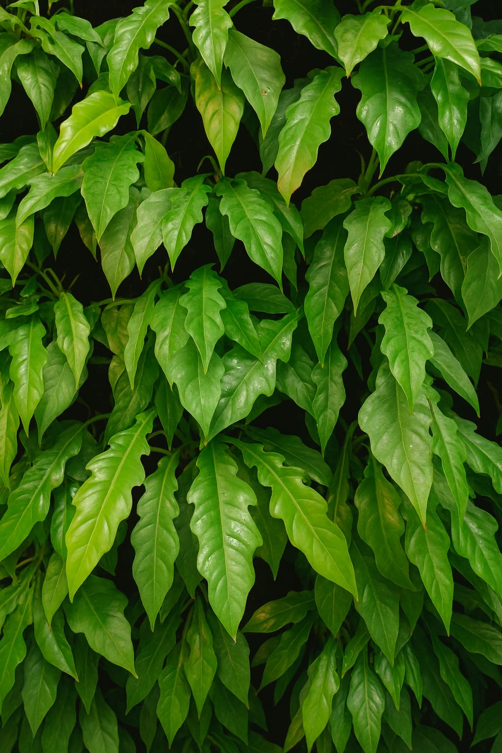 May Flowers Horticulture Installation 23